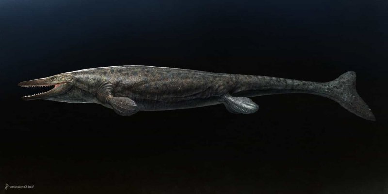 Tylosaurus proriger