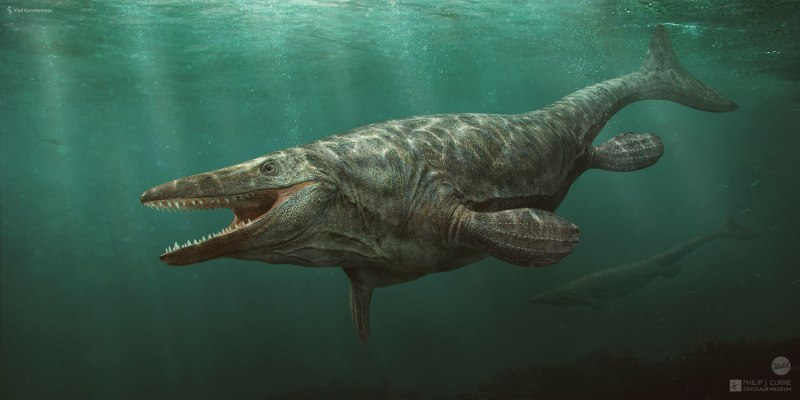 Североамериканский мезозавр Mosasaurus