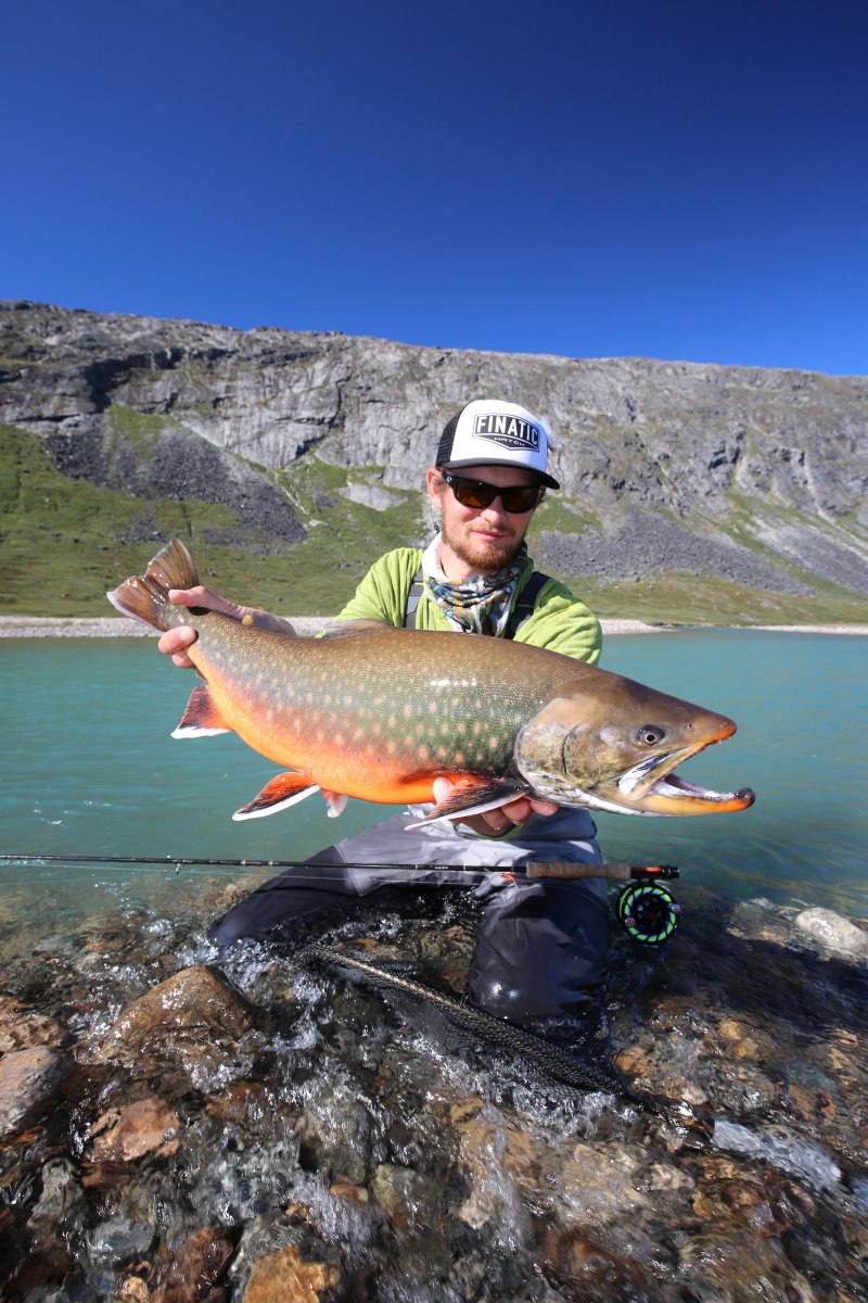 Cutthroat Trout