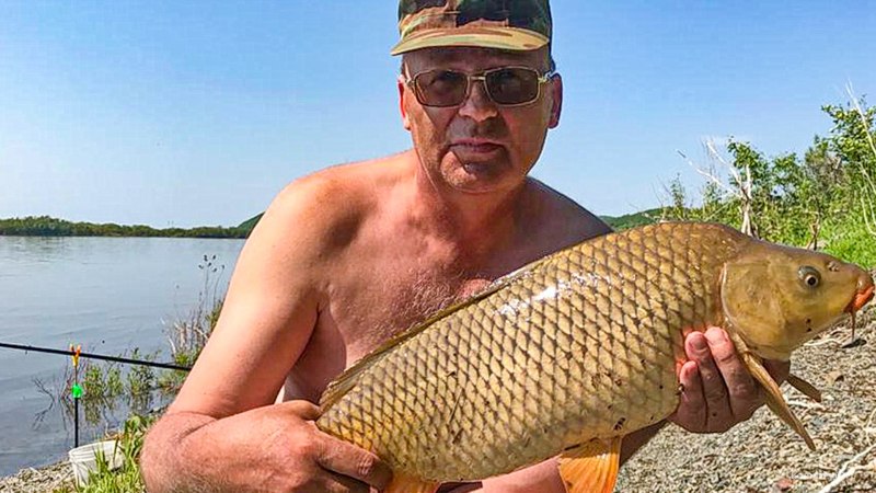 Сазан Каспийский