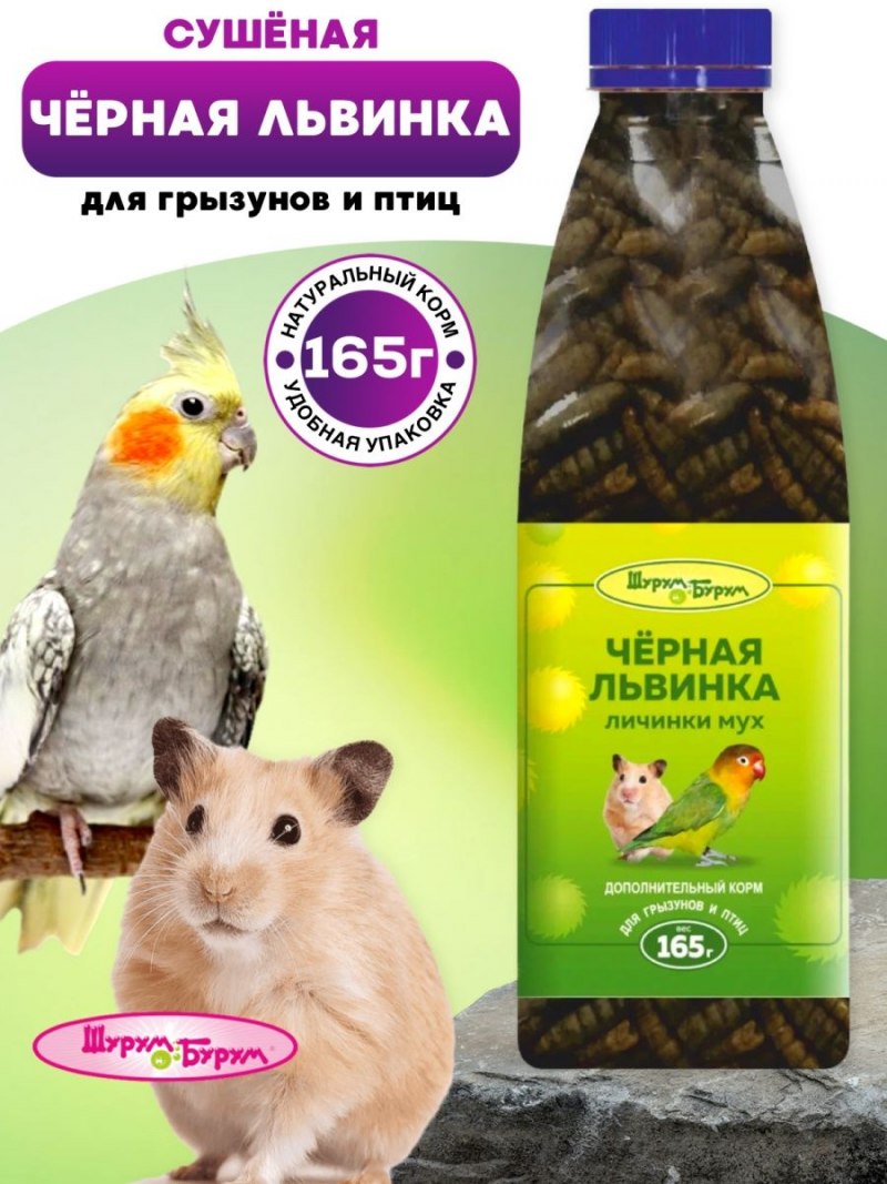 Иванов личики черной львьнки