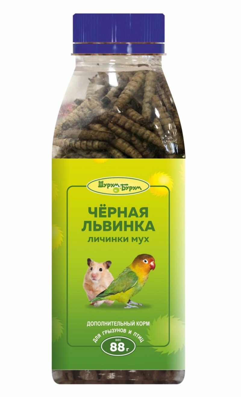 Муха черная львинка
