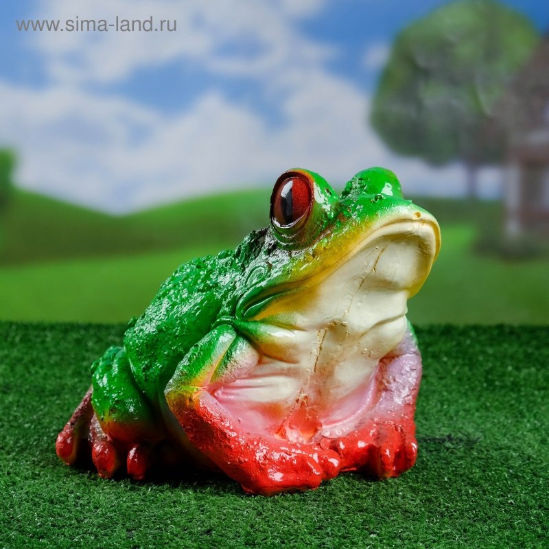 Малоазиатская квакша