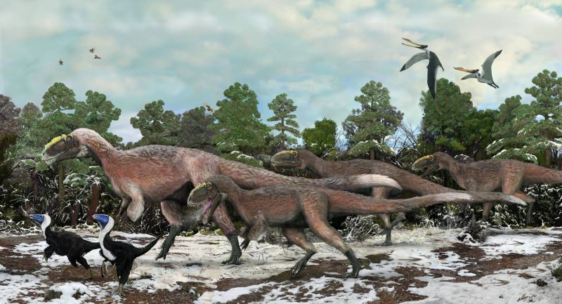 Microraptor zhaoianus