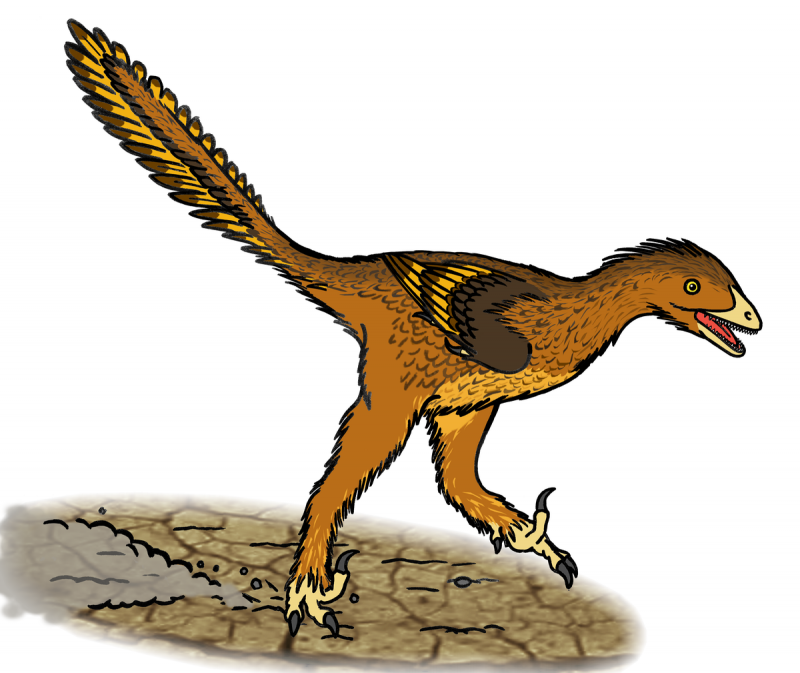 Sinosauropteryx фигурка