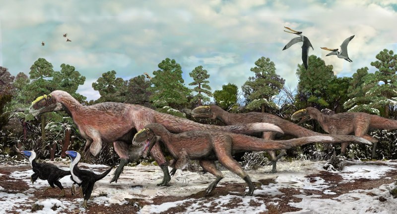 Microraptor zhaoianus