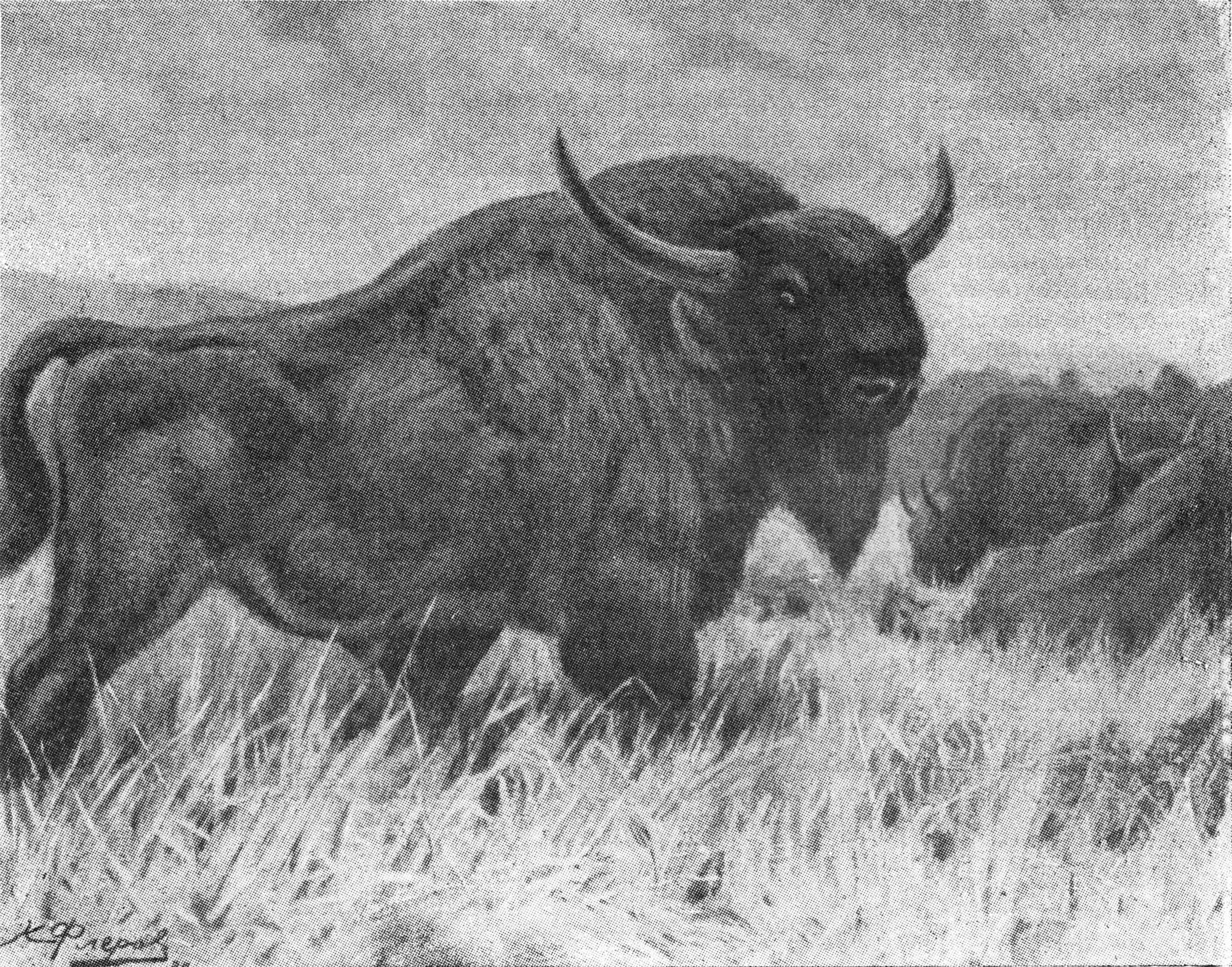 Сильный бизон. Первобытный длиннорогий Бизон. Первобытный Бизон Bison Priscus. Длиннорогий Бизон вымерший. Длиннорогий буйвол.