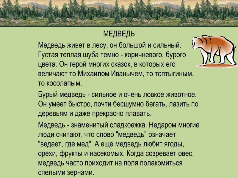 Рассказ о медведе