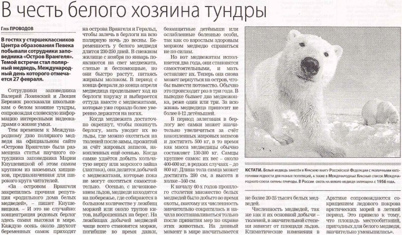 Вес белого медведя