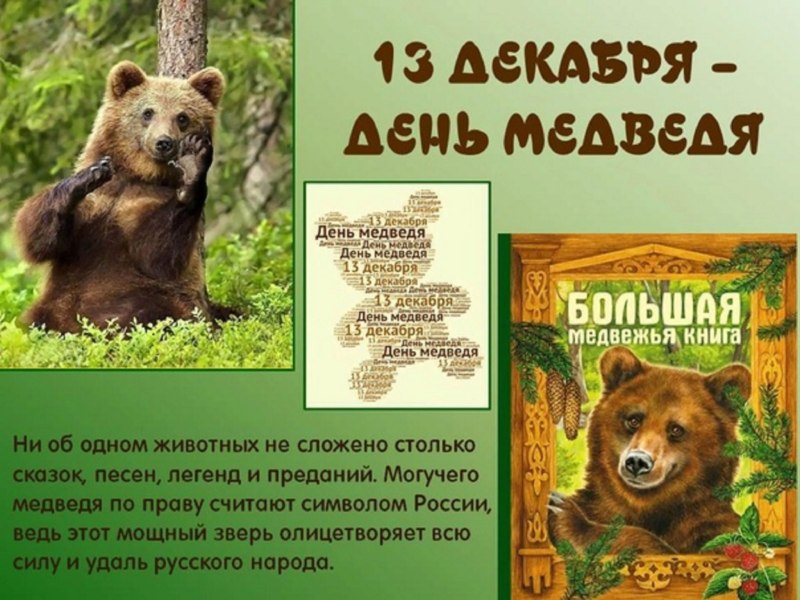 13 Декабря день медведя в России