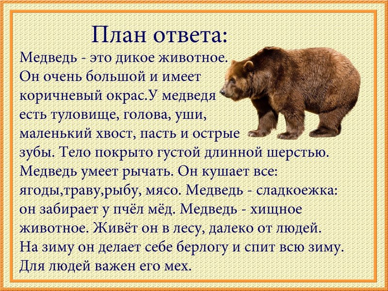 Описание животных