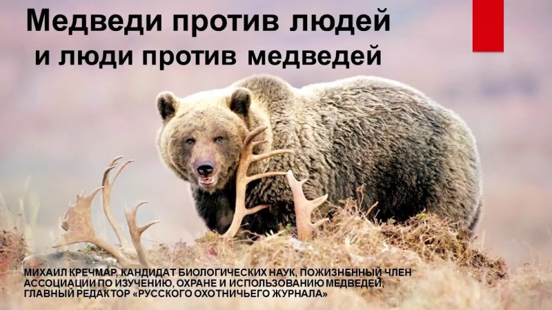Кречмар медведи