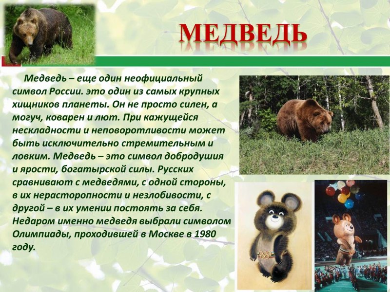 Медведь символ России
