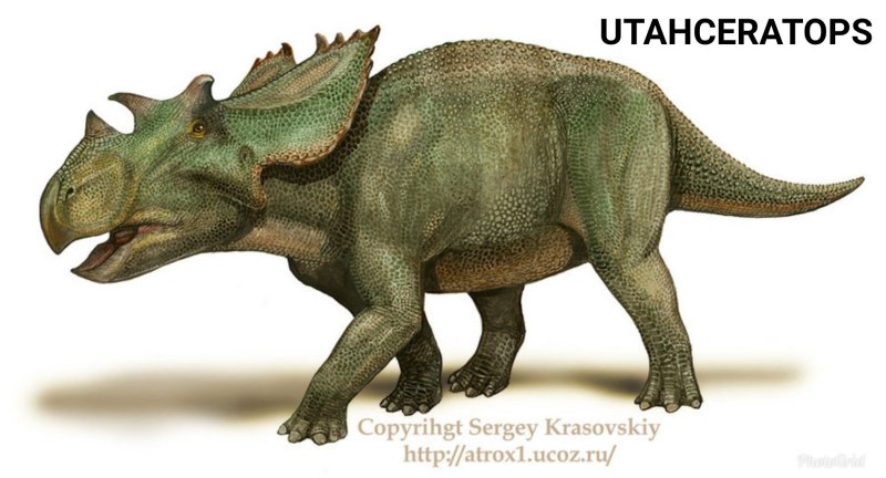 Aucasaurus Sergey Krasovskiy