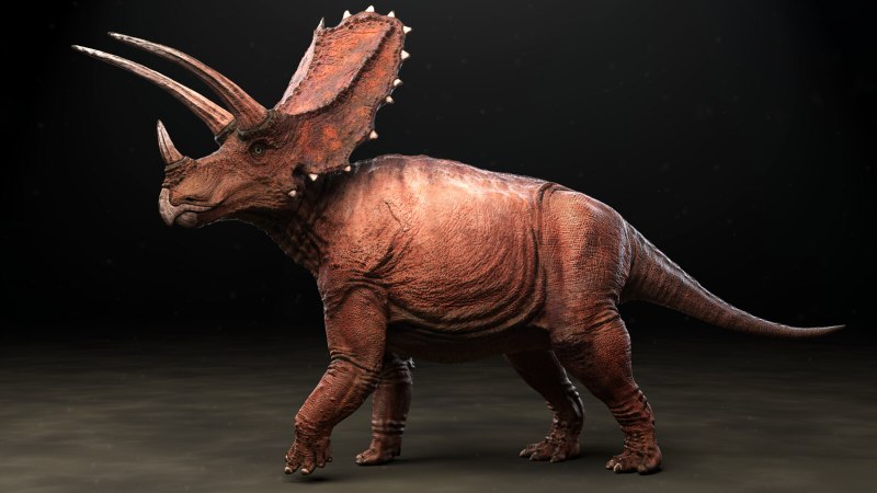 Динозавр Pentaceratops
