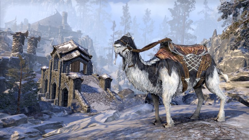 The Elder Scrolls online ездовые животные