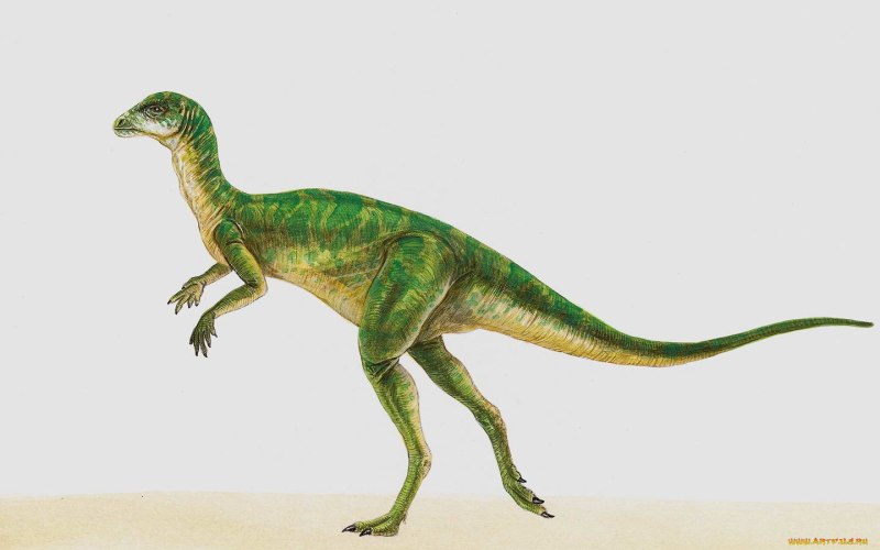 Динозавр Hypsilophodon