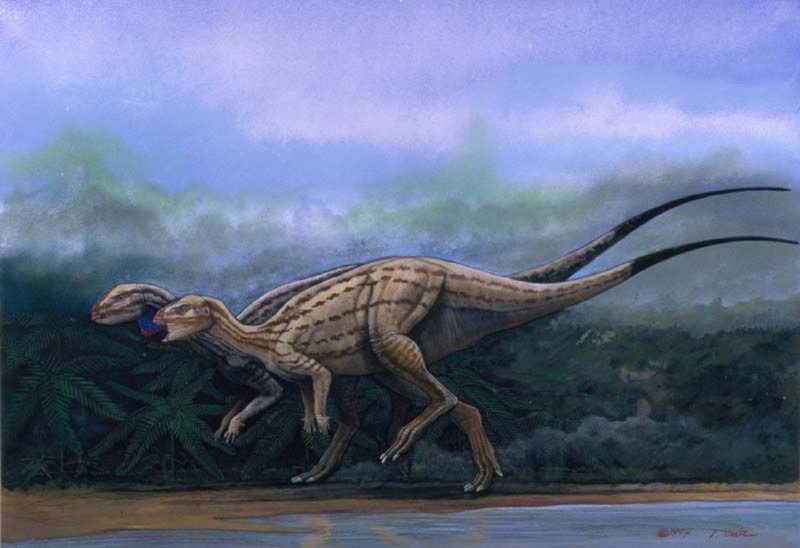Динозавр Hypsilophodon