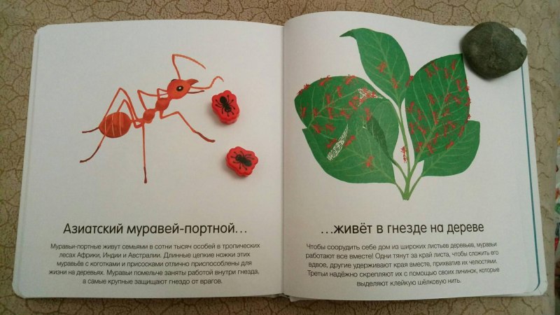 Где они живут книга