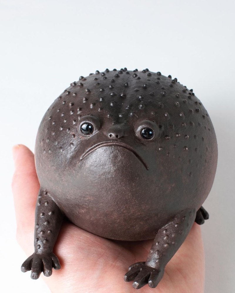 Rain Frog