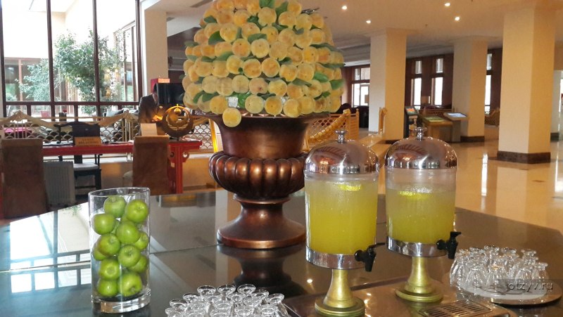 Akka Antedon Hotel напитки