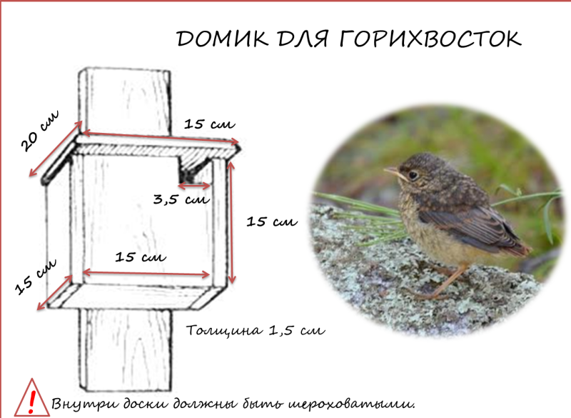 Домик для горихвостки чертеж