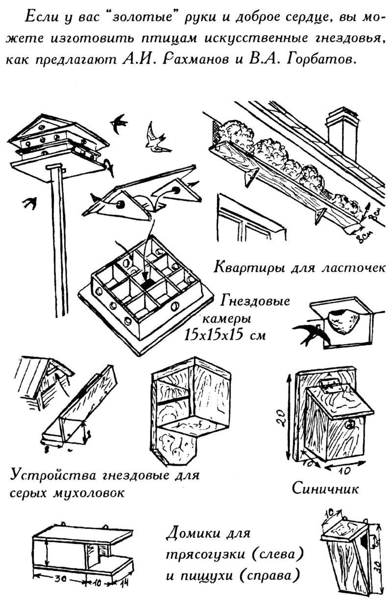 Скворечник для трясогузки чертеж
