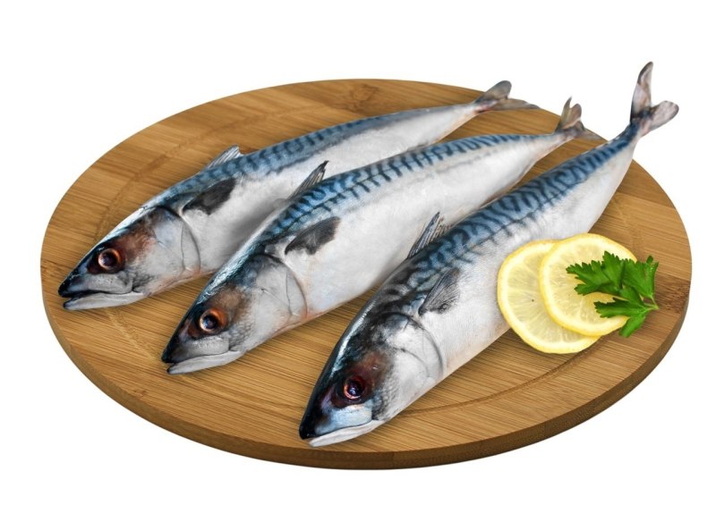 Рыба скумбрия свежемороженая