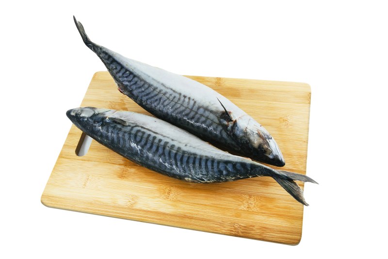 Скумбрия н/р 400-600
