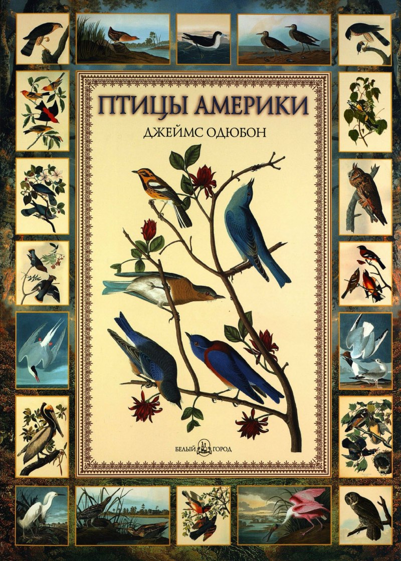 Книга птицы Америки Одюбон