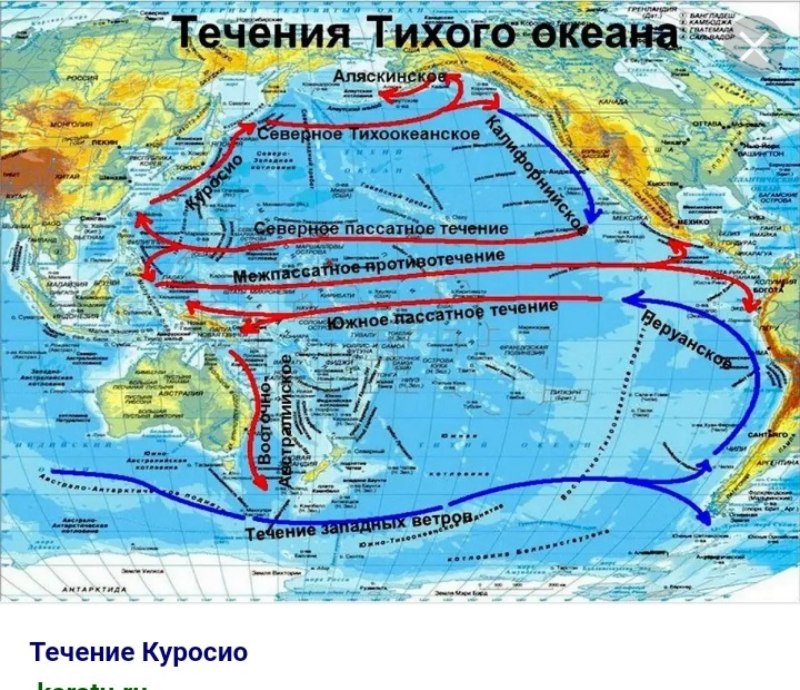 Северное пассатное течение на карте мира