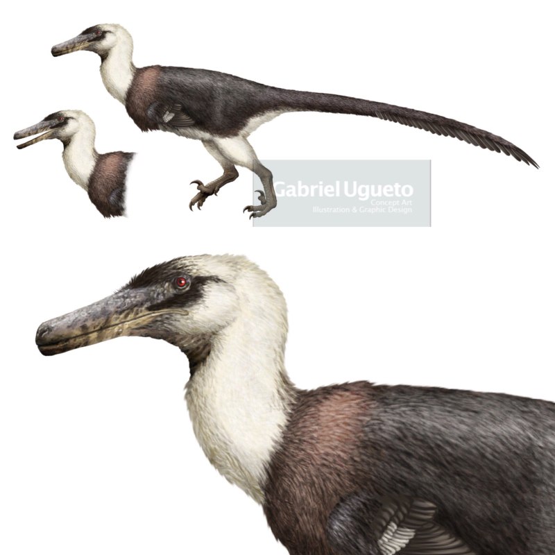 Austroraptor Gabriel Ugueto
