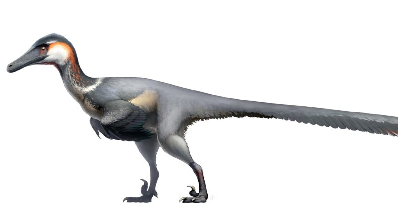 Austroraptor cabazai