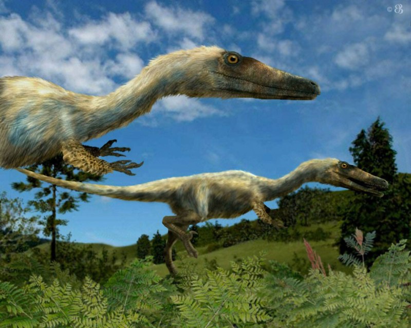 Austroraptor cabazai