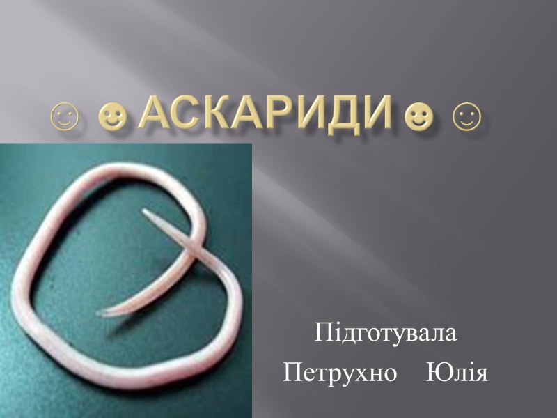 Человеческая аскарида относится к типу