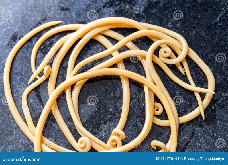 Ascaris lumbricoides заболевание