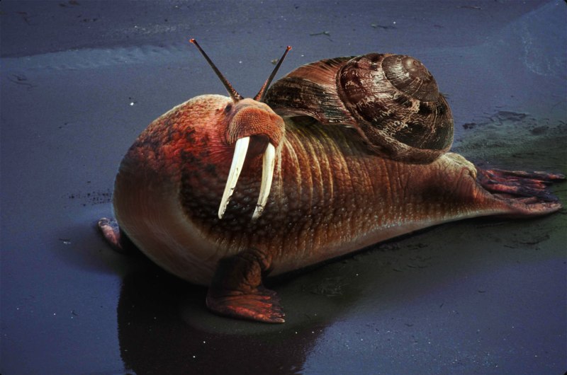 Морские мутированные животные