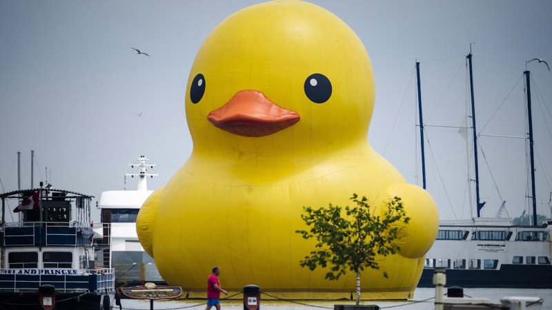 Hong Kong giant Rubber Duck