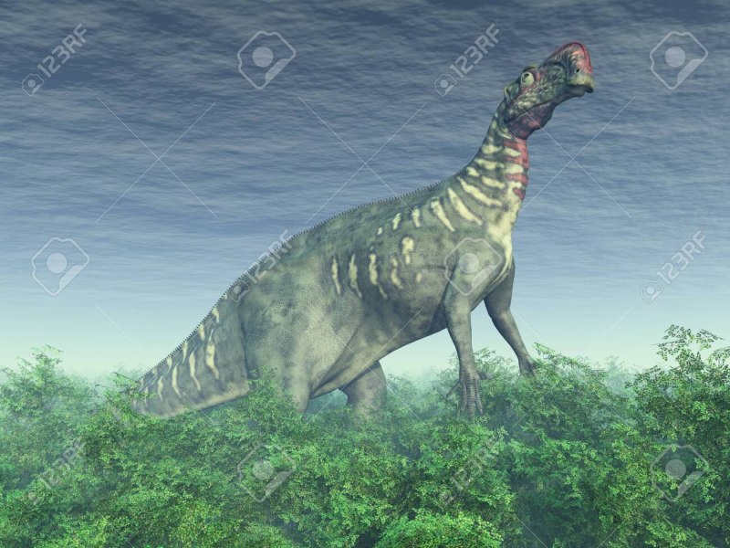 Altirhinus kurzanovi