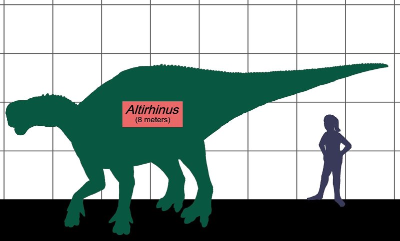 Altirhinus kurzanovi