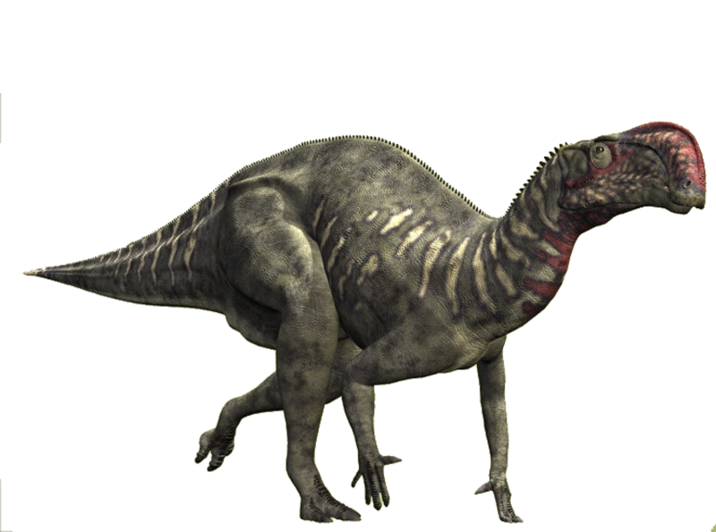 Altirhinus kurzanovi