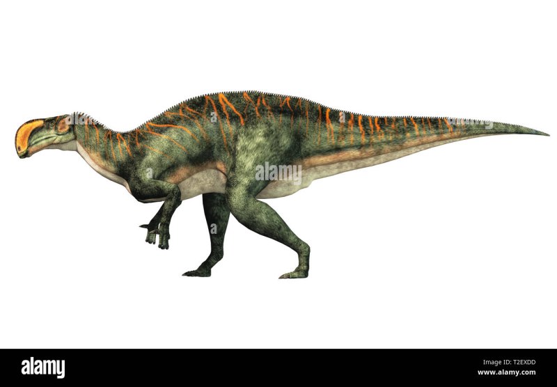 Majungasaurus Side view