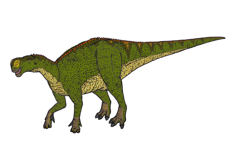Altirhinus kurzanovi