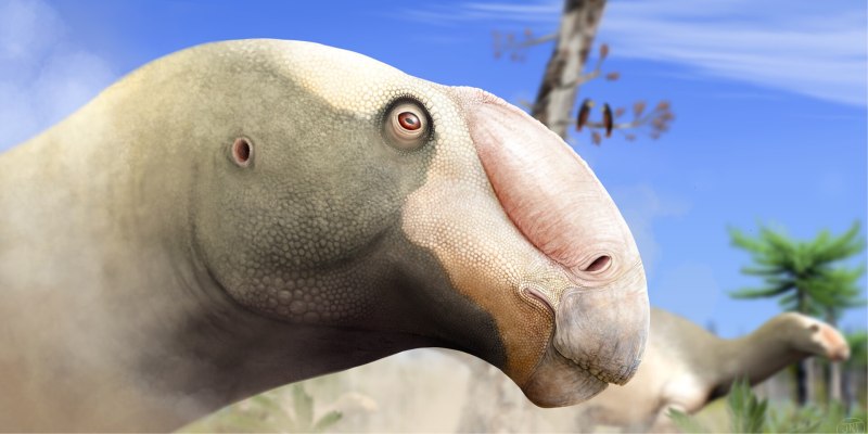 Вымершие животные Вики