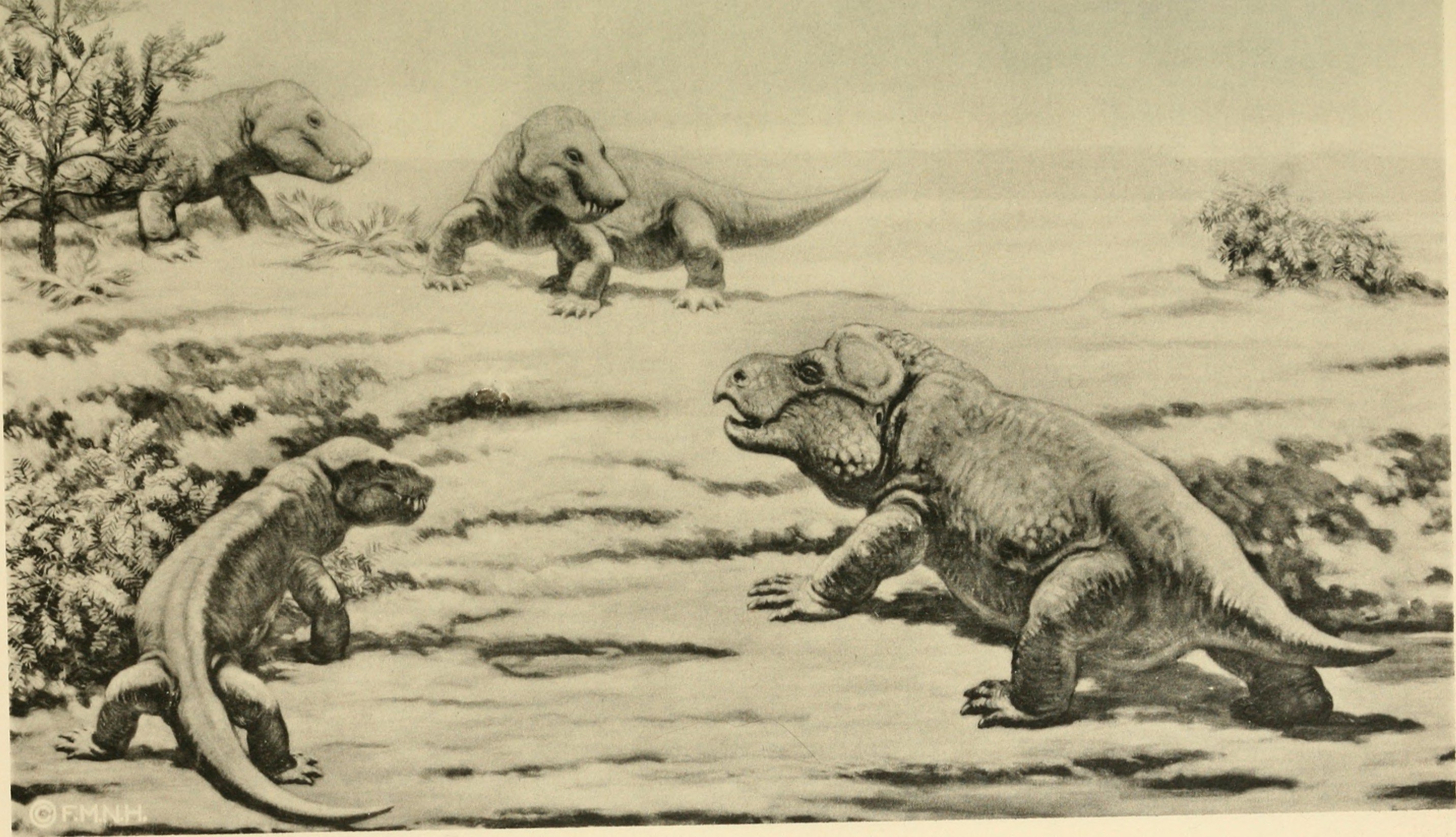 На рисунке изображен майаспондил вымершая рептилия. Вымершие рептилии. Вымершие пресмыкающиеся. Один из видов вымерших пресмыкающихся. Раскраска динозавры Триасового периода.
