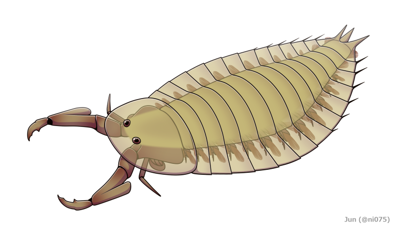 Parioscorpio Venator