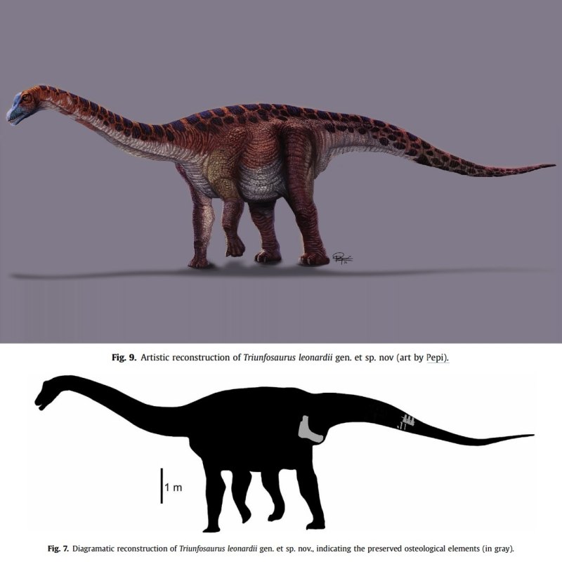 Титанозавр Antarctosaurus giganteus