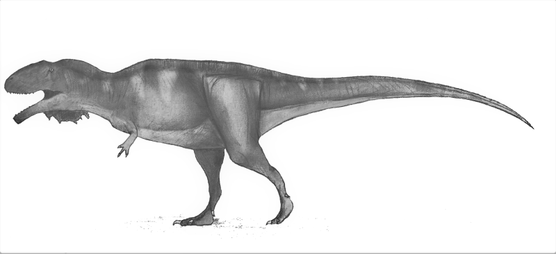 Mapusaurus roseae