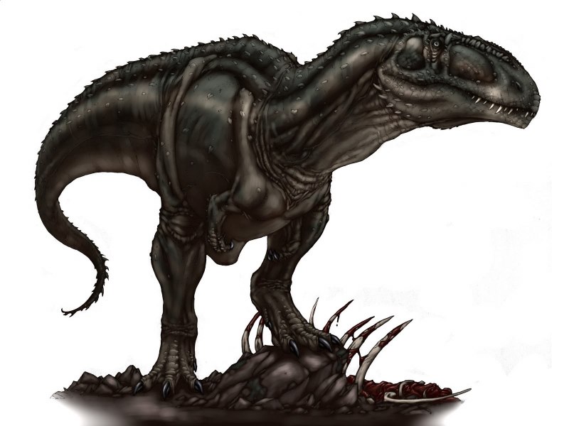 Giganotosaurus carolinii