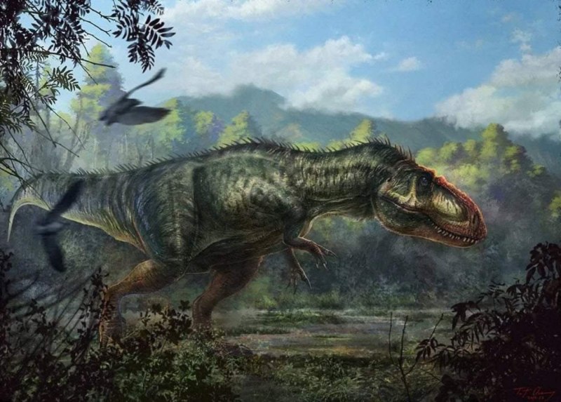 Giganotosaurus carolinii